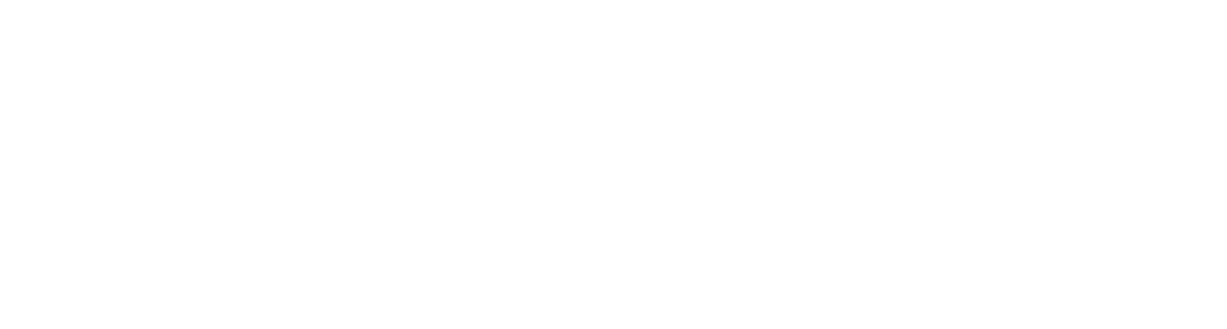 Brickzyy